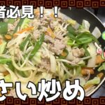 【プロの味付け？】簡単！野菜炒めの作り方と陥りがちな失敗パターン【ずんだもん実況】
