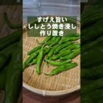 簡単すげえ旨い！ししとう焼き浸し。作り置き常備菜 おつまみ 副菜 レシピ