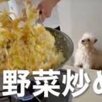 愛犬に野菜炒め。簡単に作れて栄養満点レシピ。レークランドテリア
