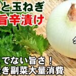 ヤバい旨さ！大葉と玉ねぎ旨辛漬け 簡単副菜 作り置き 動脈硬化防ぐ 常備菜 新玉ねぎ おつまみ 節約 大量消費 高血圧予防 ダイエットレシピ