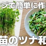 レンジで簡単に作れる！豆苗のツナ和え【お弁当おかず／作り置き】