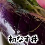 なす丼 レシピ動画