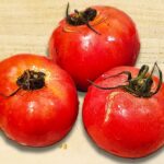 【トマトの簡単レシピ2品】箸が止まらない絶品おかずまとめ 夏野菜で作る美味しすぎるおかずの作り方/トマトレシピ/簡単おかず/作り置きおかず