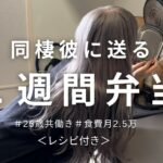 【食費月2.5万】真似するだけ簡単毎日お弁当/レシピ付き