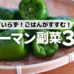 【おつまみにも】爆速ラクうまピーマンレシピ3選