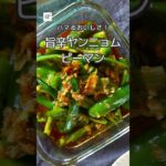 【冷蔵5日】旨辛ヤンニョムピーマン #作り置き #副菜 #レシピ動画 #ピーマンレシピ #おつまみ