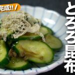 【きゅうりレシピ】5分もあればすぐ作れる◎ポリ袋でもむだけで簡単♪旨味たっぷりきゅうりのとろろ昆布和え【今日のあと一品】【副菜レシピ】