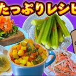 野菜たっぷりレシピ5選 Vol.1再編集版