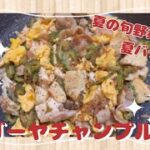 ゴーヤチャンプルー／夏の旬野菜で夏バテ予防レシピ／高血圧予防レシピ／疲労回復【50代楽しく料理】モモルデシン／沖縄料理
