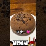 片栗粉台湾カステラ第２弾！！Ver.ココア