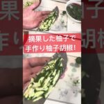 摘果柚子胡椒！#sdgs #料理 #簡単レシピ #レシピ #料理動画 #野菜 #庭木 #柚子 #sdgs #家庭菜園 #娯楽 @user-th1sh6yo8w