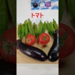 夏野菜をレンチンしてサラダにしましたよ〜 #料理 #簡単美味しい #簡単レシピ #shorts