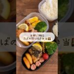 鯖照り焼き弁当詰める🍱 #shorts#asmr#お弁当#お弁当詰め方#料理asmr#料理動画#レシピ