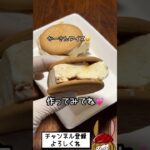 プリンの素で本格アイスクリームが作れます！！