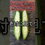 ゴーヤの主役はわたです　#ゴーヤ　#ゴーヤレシピ　#料理 #有機野菜 #天然食材 #自然食品 #自然食品店