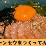 カンジャンケジャンに並ぶ人気！カンジャンセウで海鮮丼を作ってみた！