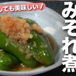 【ピーマンレシピ】焼き目の付いた香ばしいピーマンに優しいみぞれで旨みジュワッと広がる◎ピーマンのみぞれ煮【今日のあと一品】【副菜レシピ】