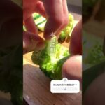 「特製サウザンソース」⁡ #ご飯記録 #簡単レシピ #野菜レシピ #おつまみ