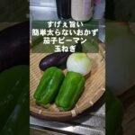 【茄子ピーマン玉ねぎ簡単レシピ】炒めるだけ!おつまみ副菜おかず余り物が無敵になるワンパンレシピ