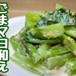 『小松菜だけでも🥬美味しいレシピ』レンジで楽チン迷わず作りたくなる！