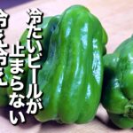 【居酒屋簡単レシピ🏮】味付けは麺つゆが決めて✌️作り置きして置けばいつでもハッピー☝🏼豚そぼろピーマン