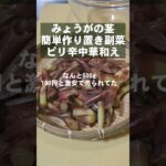 みょうがの茎で簡単おつまみ 作り置き副菜 常備菜 大量消費レシピ 中華和え 冷奴