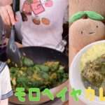【実写📸料理】夏野菜モロヘイヤカレー