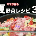 【子育て世帯お助け】夏野菜たっぷり！人気の宅食レシピを大公開【ママたちが作って運ぶサービス】