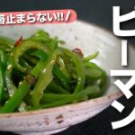 【ピーマンレシピ】お酢でさっぱりいくらでも食べられる！ピーマン消費にはこれ◎やみつきピーマンナムル【今日のあと一品】【副菜レシピ】