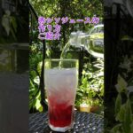 赤しそジュースの作り方 #家庭菜園 #野菜生活 #菜園 #農業 #赤シソジュース