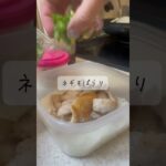 【余裕なし】時間が無い人のお弁当 #vlog #料理 #asmr #おすすめ #お弁当 #簡単レシピ #ズボラ飯 #shots #自炊 #焼肉 #grwm #日常 #cooking #morning