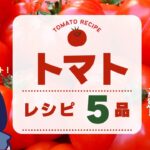 【トマト】毎日食べたい！！トマトレシピ５品！vol.13#トマトレシピ#トマト料理#人気レシピ#簡単レシピ#時短レシピ#晩御飯#メイン#おかず#夏レシピ#アイラップ