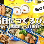 【1週間のお弁当作り】お弁当日記vlog #48|1週間のお弁当|前日に作る弁当|手抜き|作り置き|簡単レシピ|冷凍食品|主婦2年生