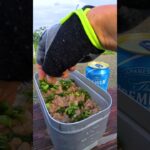 2024/08/25　豚丼　@米ノ山