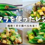 【オクラを使ったレシピ】夏野菜の定番!オクラを使った簡単レシピ4品