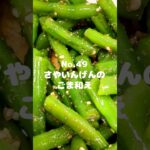 お弁当の彩りに!〜作り方は本編から〜【49. さやいんげんのごま和え】 #shorts #さやいんげん #ごま和え #胡麻和え #料理 #時短 #お弁当 #冷凍可能