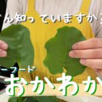 【初体験】おかわかめ&ツルムラサキの副菜#70