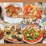 志麻さんのトマトレシピ8選夏野菜のオーブン焼き トマトの大葉ジェノベーゼ トマトしょうが焼きトマトの冷製スープ トマトの肉詰め サバ缶のトマトグラタン 鶏胸肉のあっさり油淋鶏 プロヴァンス風焼きトマト