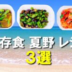 Chat GPTに夏バテに効く「夏野菜作り置きレシピ」を聞いてみた