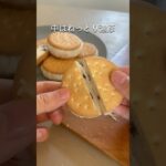 【簡単】牛乳で作る濃厚クッキーサンドアイス#スイーツ#簡単レシピ #ダイエットスイーツ #簡単アイス#shorts