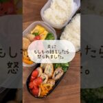 地震怖い　#shorts#asmr#南海トラフ#お弁当#お弁当詰め方#料理asmr#レシピ