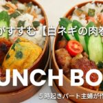 【お弁当作り】ご飯がすすむおかず！受験生の息子たちに作る栄養満点弁当