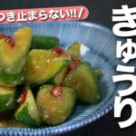 【きゅうりレシピ】ポリポリ止まらない！ご飯のお供やお酒のアテに◎やみつききゅうりの味噌漬け【今日のあと一品】【副菜レシピ】