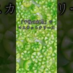 午後の紅茶で【ゼリーテリーヌ】 #簡単スイーツ #簡単レシピ #スイーツ作り #簡単レシピ #料理 #デザート