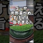 すげぇえ旨いゴーヤ入り肉野菜炒め作り方!簡単 主菜 副菜 おつまみ 苦瓜レシピ