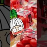 王シリーズ:葱王と夏野菜のゼリー寄せレシピ