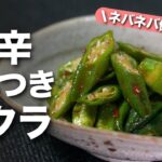 【オクラレシピ】お箸がついつい止まらない◎ご飯のお供やお酒のアテにも良いネバネバ健康なオクラ!甘味にピリッと辛みが効いたやみつきオクラ【今日のあと一品】【副菜レシピ】