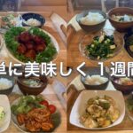 【1週間献立】 ご飯が進む簡単レシピおかず5日間｜野菜もしっかり取れる簡単夜ご飯献立