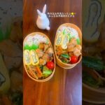 【鶏肉の塩麹漬け】2人分のお弁当作り#同棲ご飯 #お弁当 #料理作り #料理動画 #手作りご飯 #cooking #自炊料理 #自炊 #簡単レシピ #お弁当記録#お月見#十五夜