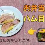 お弁当にハムと玉子だけで簡単『ハム目玉👀』@おせきはん-n3k